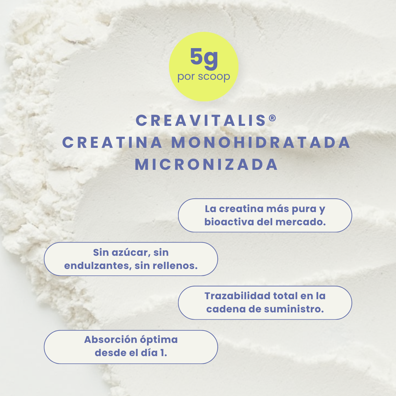 Creatine + Sin Sabor 300g