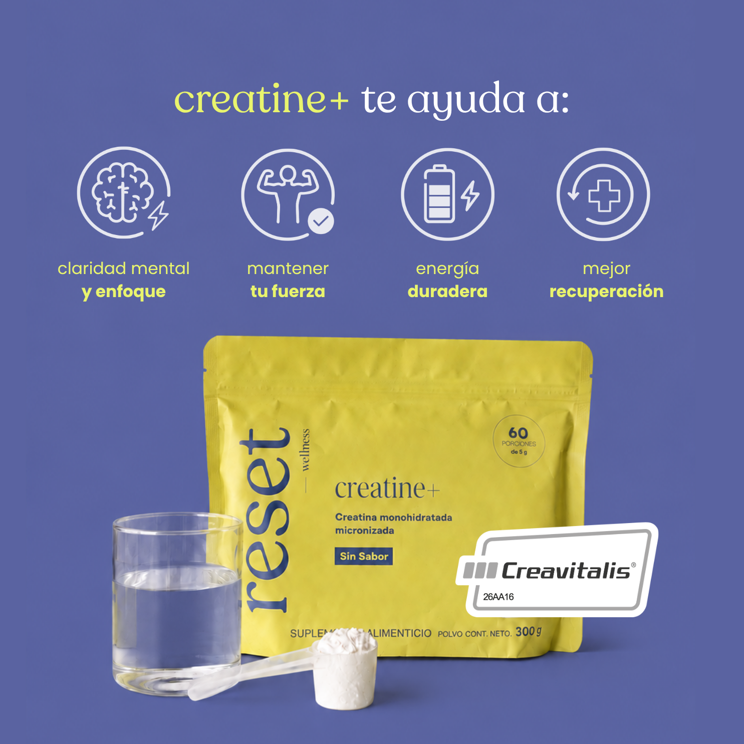Creatine + Sin Sabor 300g