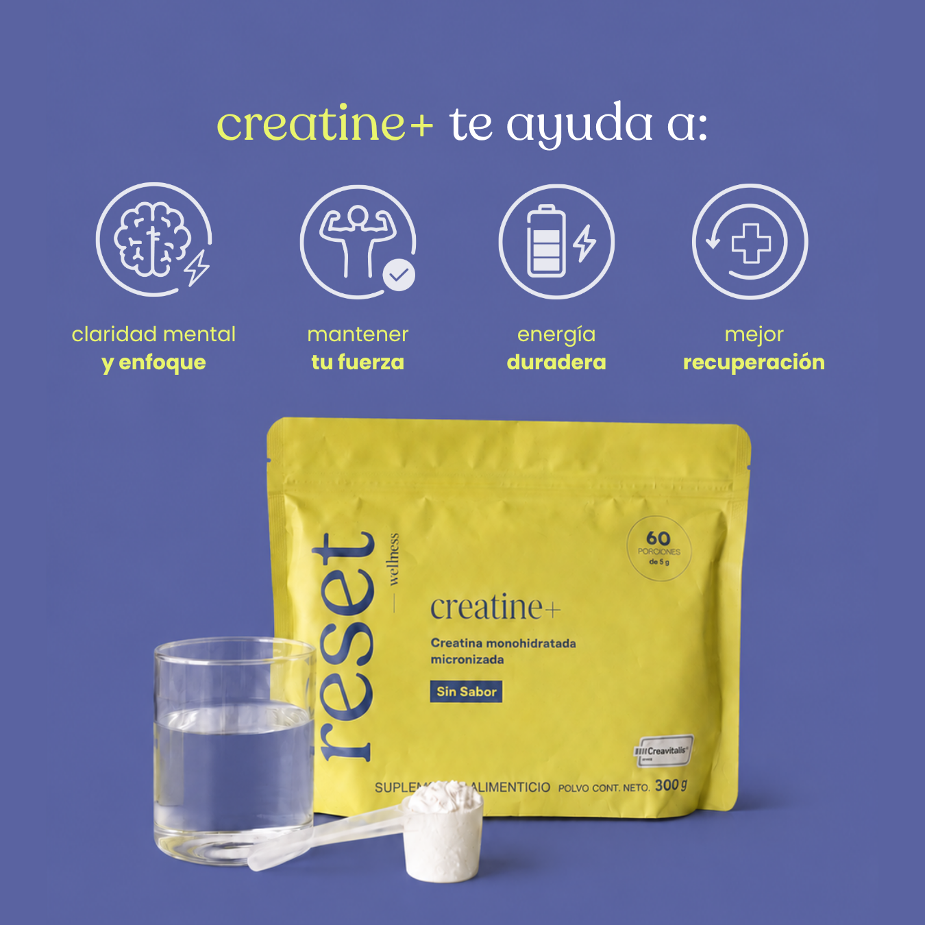 Creatine + Sin Sabor 300g