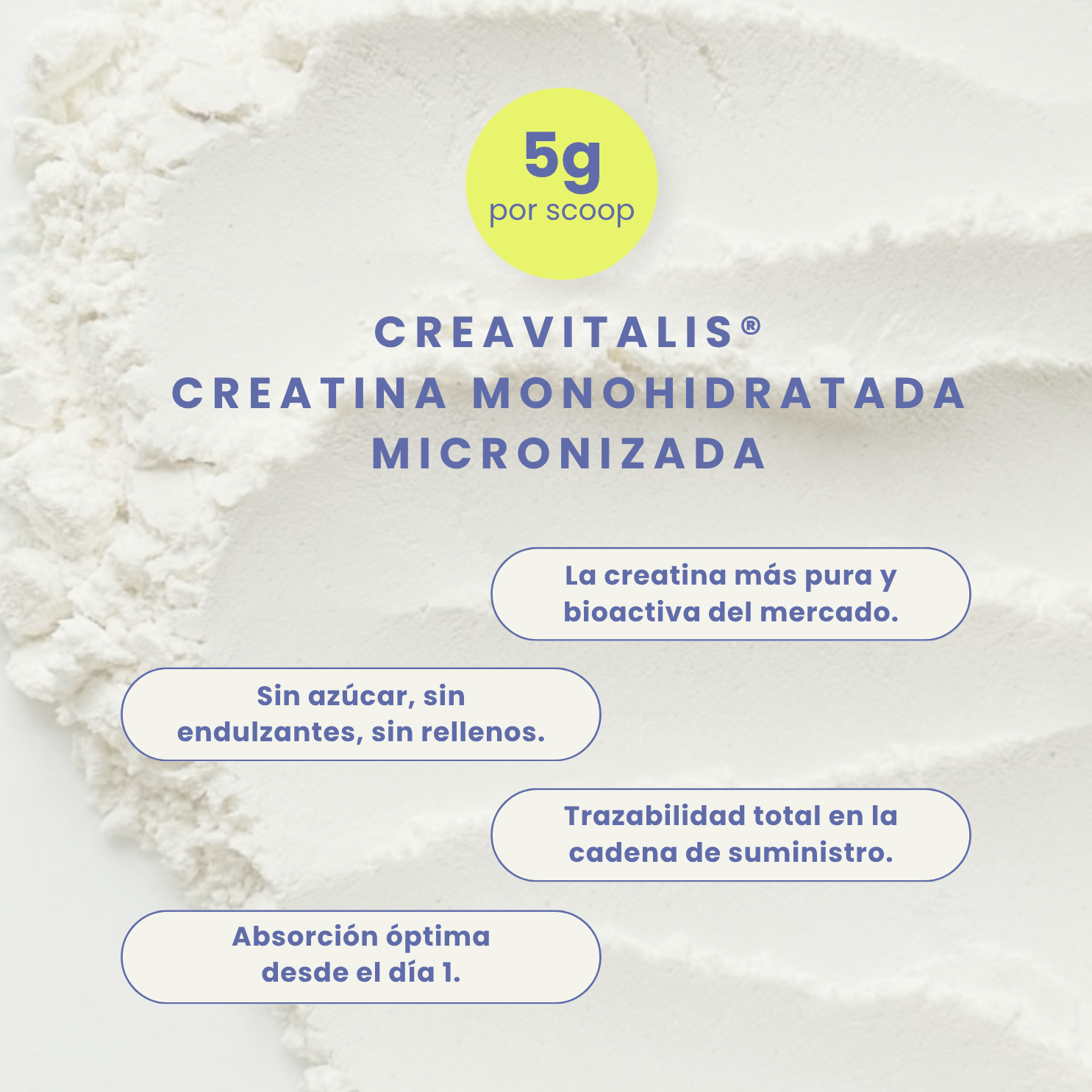 Creatine + Sin Sabor 300g