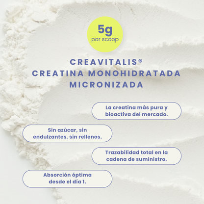 Creatine + Sin Sabor 300g