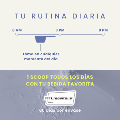 Creatine + Sin Sabor 300g