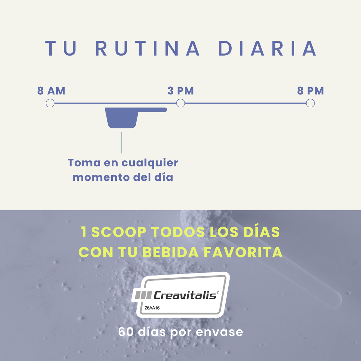 Creatine + Sin Sabor 300g